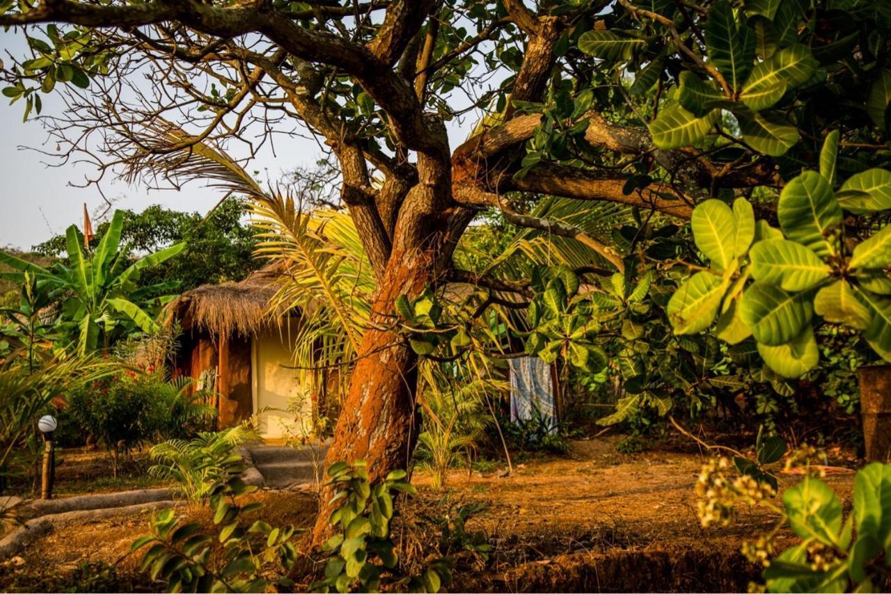 Banyan Tree Yoga Hotel Mandrem Buitenkant foto